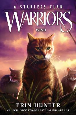 Warriors A Starless Clan Wind