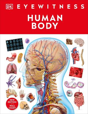 Human Body Eyewitness