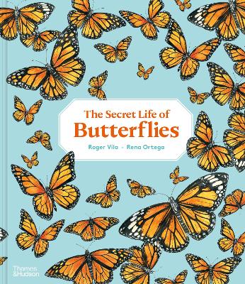 Secret Life of Butterflies