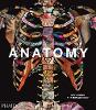 Anatomy