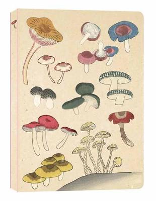 Healing Mushrooms Paperback Journal