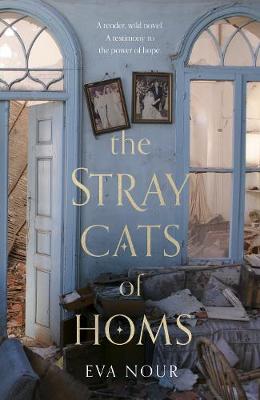 Stray Cats of Homs
