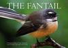 Fantail Pictorial Study of New Zealand's Most Friendly and Loved Native Bird