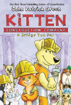Kitten Construction Company A Bridge Too Fur