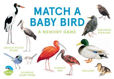 Match a Baby Bird Memory Game