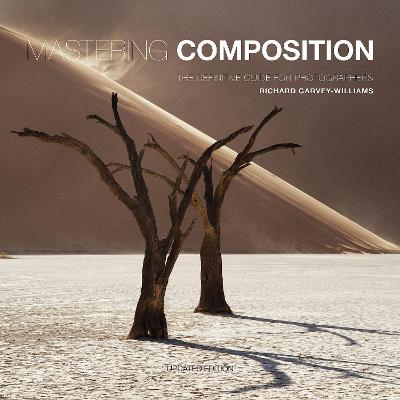 Mastering Composition The Definitive Guide for Photographers