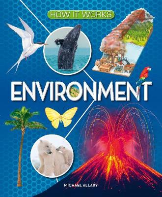 How It Works Environment