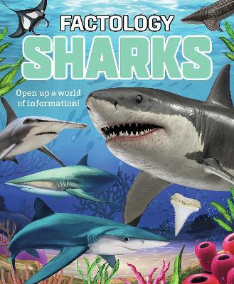 Factology Sharks