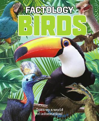 Factology Birds