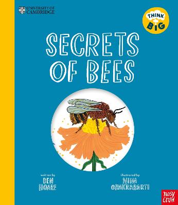 Think Big  Secrets of Bees