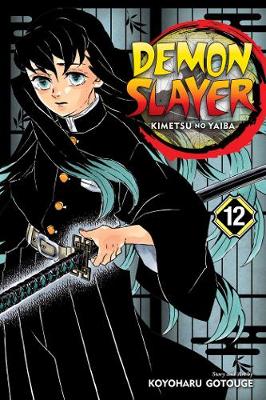 Demon Slayer Kimetsu no Yaiba Vol. 12