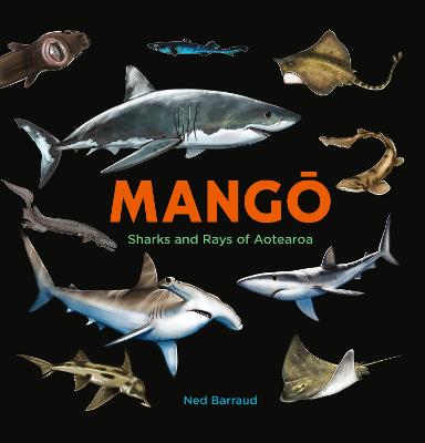 Mango Sharks and Rays of Aotearoa
