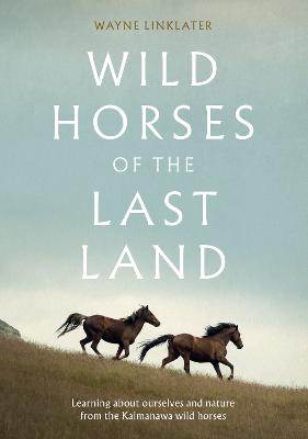 Wild Horses of the Last Land