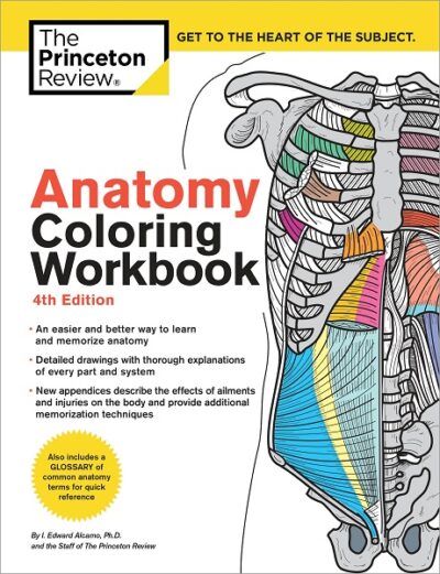Anatomy Colouring Workbook
