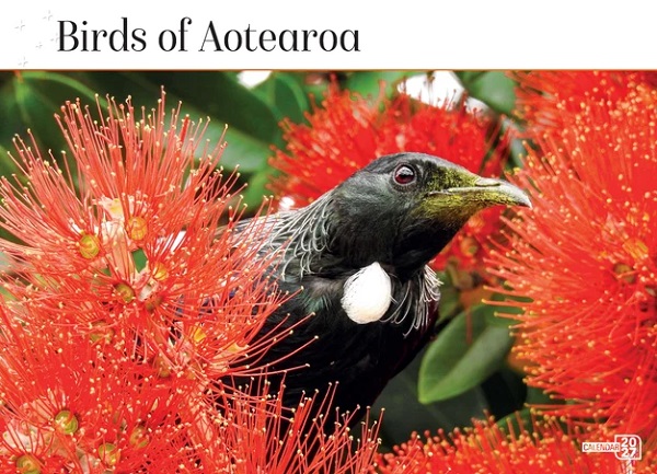 Birds of Aotearoa 2027 Calendar