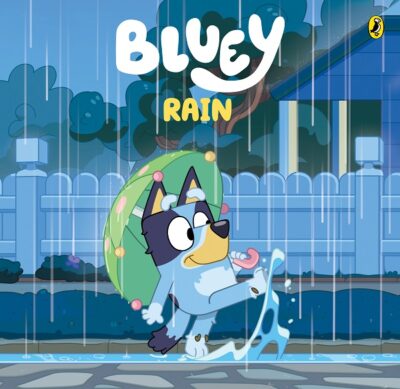 Bluey  Rain