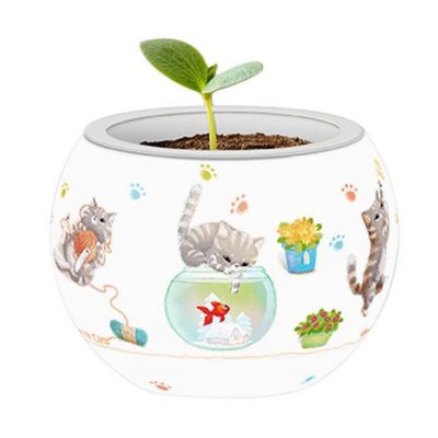 Cats Playtime Pintoo Flowerpot 80pc Puzzle