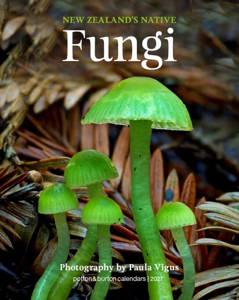 New Zealand Native Fungi 2027 Calendar
