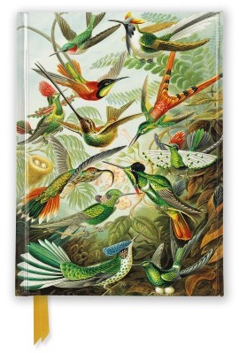 Ernst Haeckel Hummingbirds