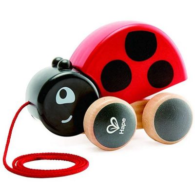 Hape Pull Along Lady Bug