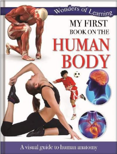 Discover the Human Body