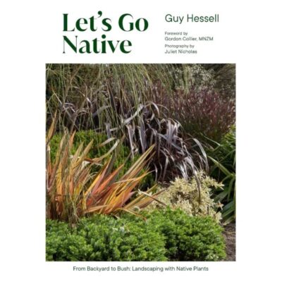 Lets Go Native