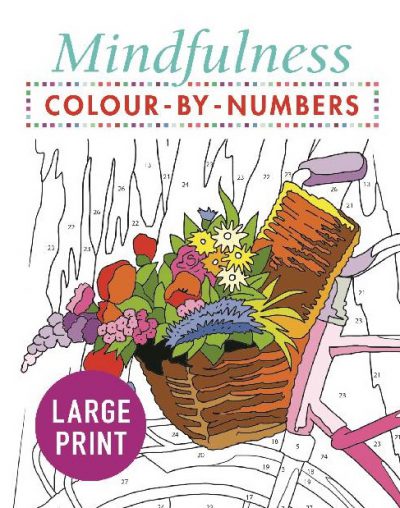 Mindfulness Large Print Colour by Numbers