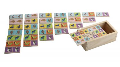 Moana RD NZ Birds Dominoes