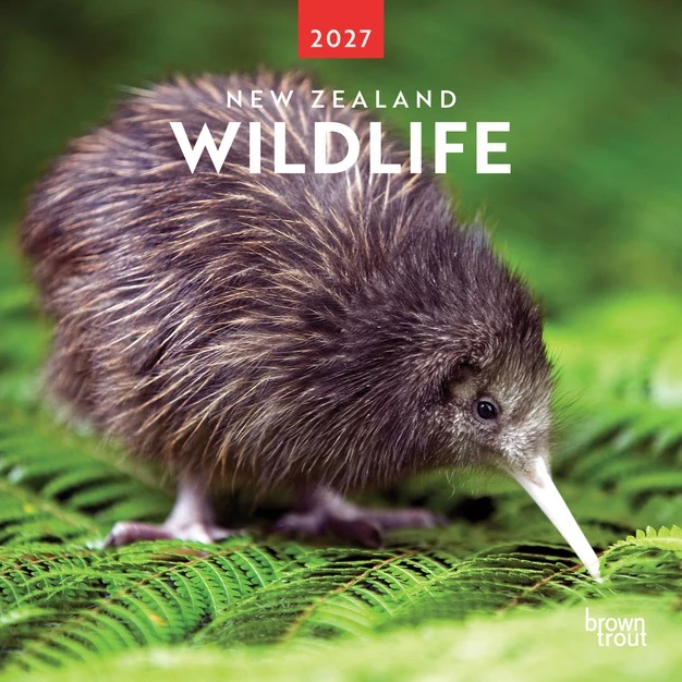 New Zealand Wildlife 2027 Calendar