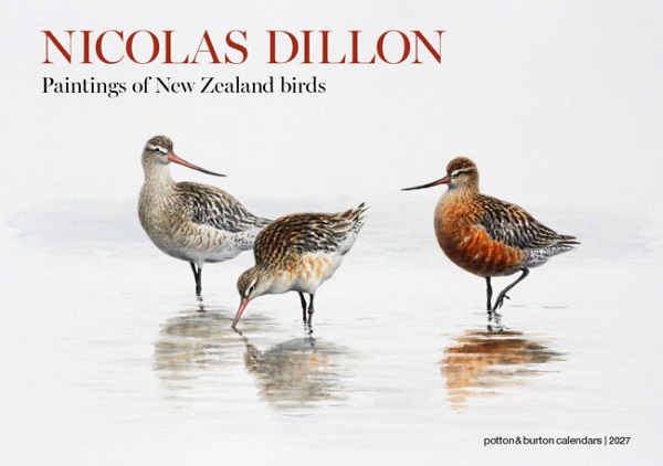 Nicolas Dillon NZ Bird Paintings 2027 Calendar