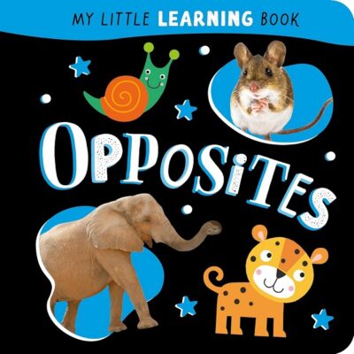 My Little Learning Book Opposites