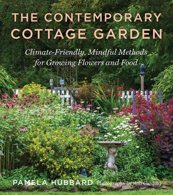 Contemporary Cottage Garden