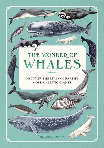 Wonder of Whales