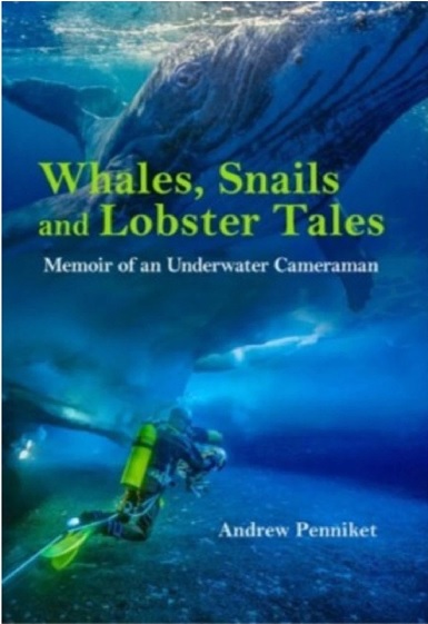 Whales Snails and Lobster Tales
