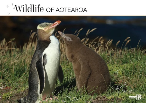 Wildlife of New Zealand 2027 Calendar