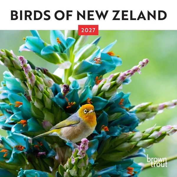 Birds of New Zealand 2027 Mini Calendar
