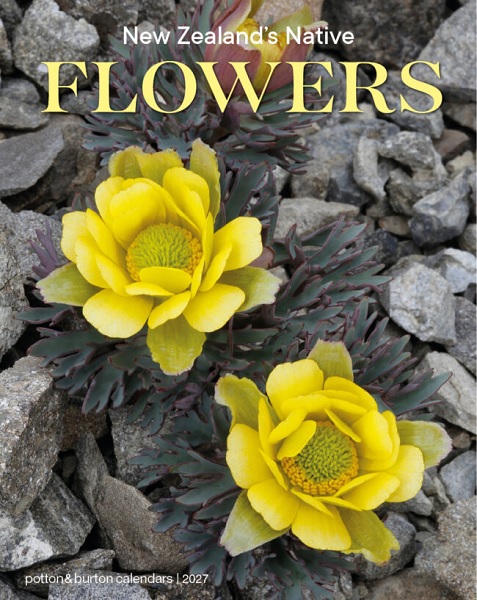 New Zealand Native Flowers 2027 Calendar