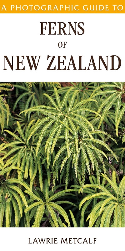 Photographic Guide to Ferns of New Zealand