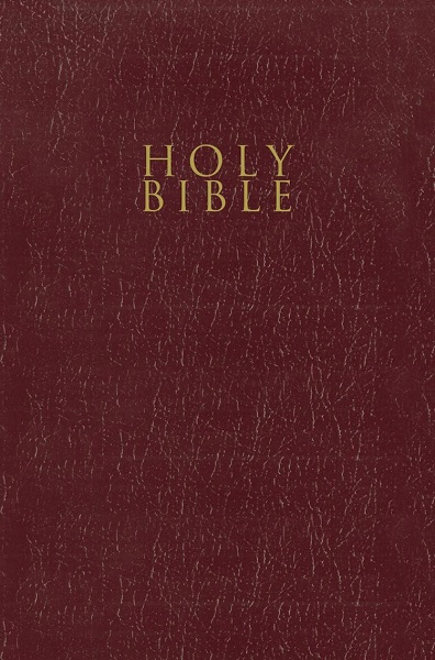 Holy Bible Burgundy NIV Gift and Award Bible