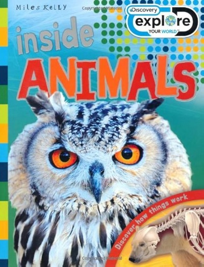 Discovery Inside: Animals
