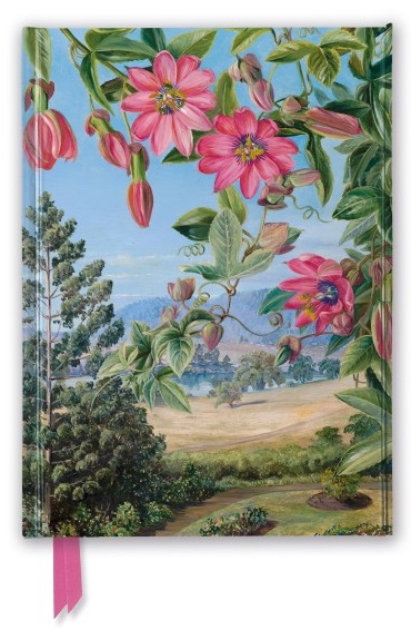 Kew Gardens View in the Brisbane Botanic Garden Foiled Lined Journal