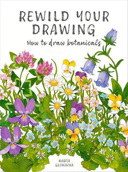 Rewild Your Drawing